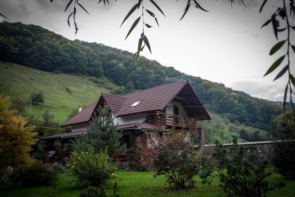 Casa De Piatra Villa Strungari Eksteriør billede